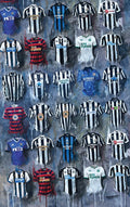 Newcastle 2023 Tea Towel - Terry Kneeshaw Art