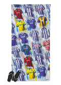 Brighton And Hove Albion Shirts - A Seagull's Collection Beach Towel - Terry Kneeshaw Art